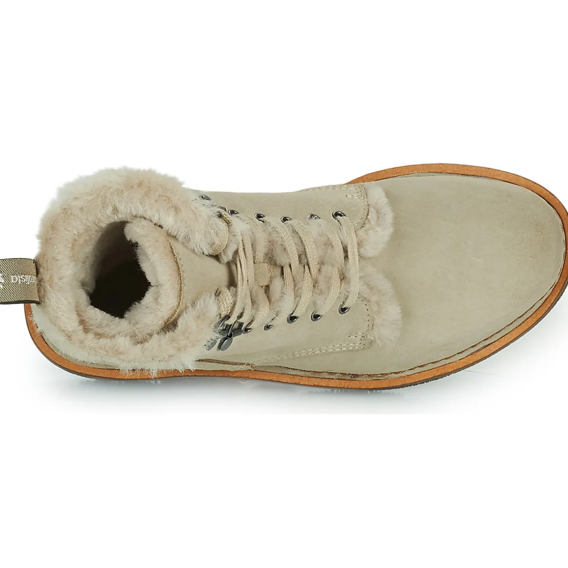 El Naturalista - VOLCANO N5579