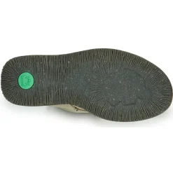 El Naturalista - VOLCANO N5579