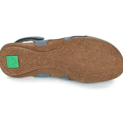 El Naturalista - WAKATAUA N413