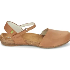 El Naturalista - WAKATAUA N412