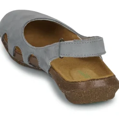 El Naturalista - WAKATAUA N413