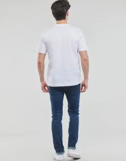 Element - VERTICAL SS