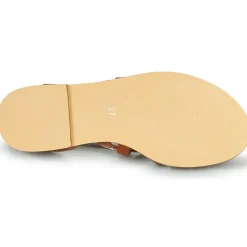 Elue par nous - LESCOT