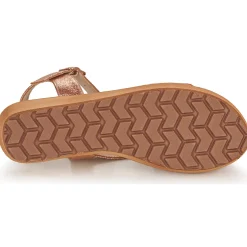 Elue par nous - NEBORE