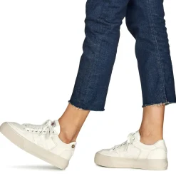 Faguo - WALNUT PLATFORM