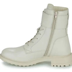 Fericelli - CALLIOPE