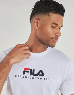 Fila - BRILL
