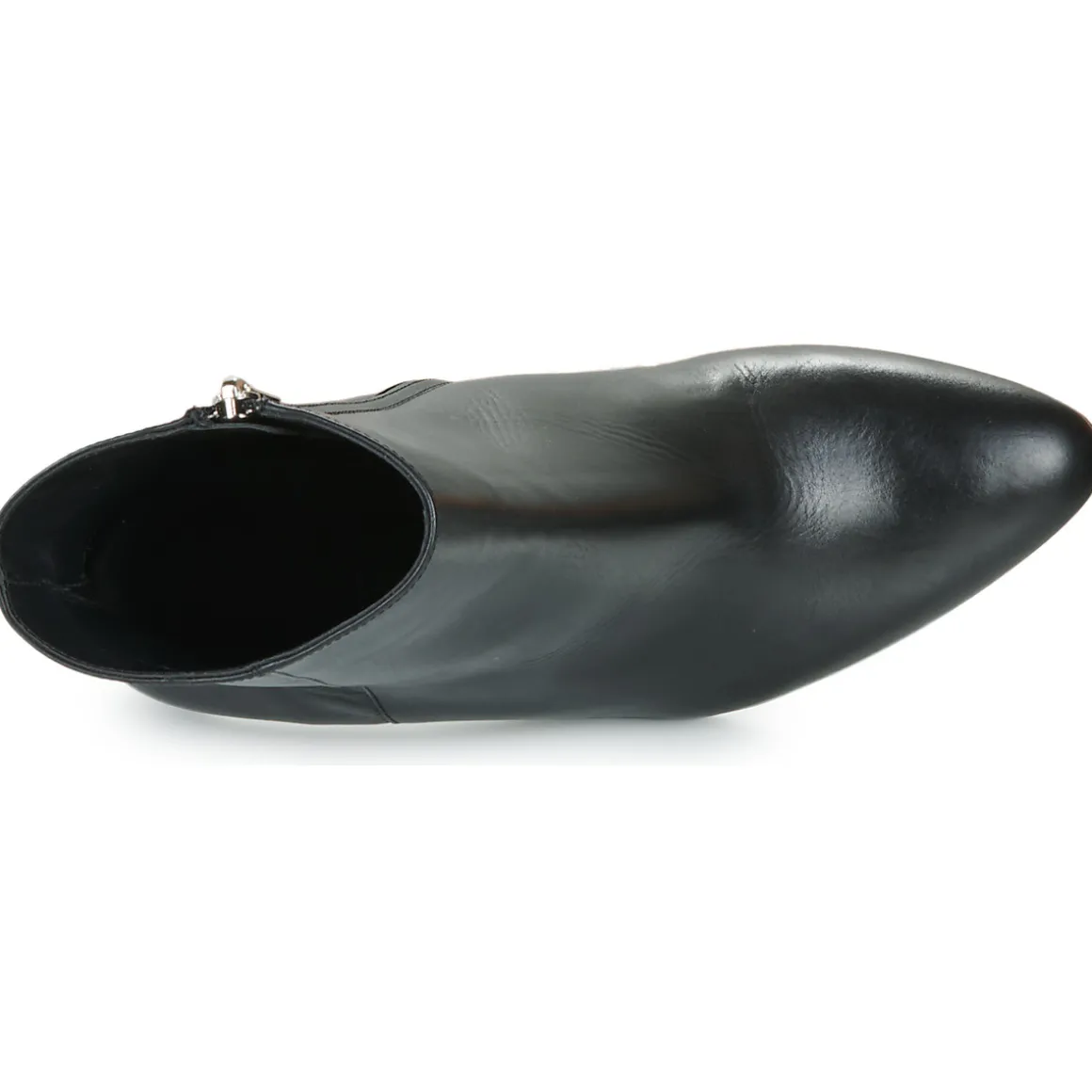 Freelance - STELLA 65