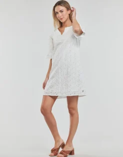 Freeman T.Porter - LOTISSE LACE