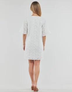 Freeman T.Porter - LOTISSE LACE