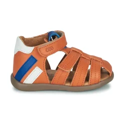 GBB - ALEXO