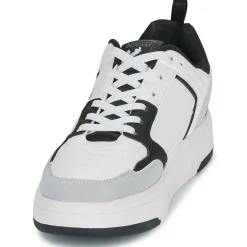 Geographical Norway - OASIS