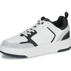 Geographical Norway - OASIS