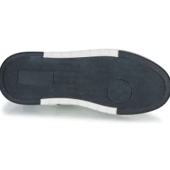 Geographical Norway - OASIS