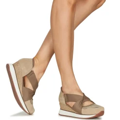 Gioseppo - DARLINGTON