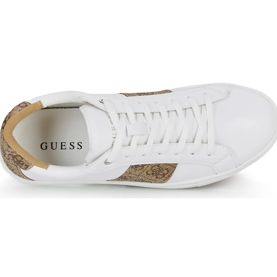 Guess - TODA