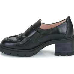 Hispanitas - EVEREST