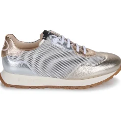 Hispanitas - KANSAS-CHV25386