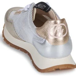 Hispanitas - KANSAS-CHV25386