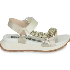 Hispanitas - MAUI-HV253898