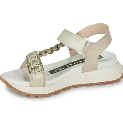 Hispanitas - MAUI-HV253898