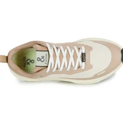 IgI&CO - D.KAIZEN & GTX