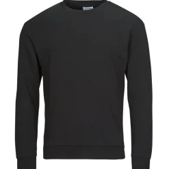 Jack & Jones - JJEBRADLEY SWEAT CREW