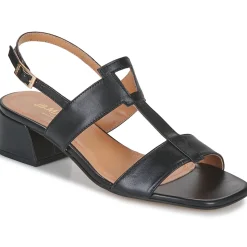 JB Martin - VIOLAINE