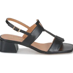 JB Martin - VIOLAINE