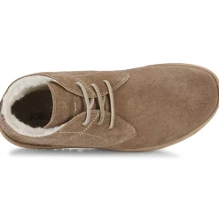 Josef Seibel - ANNA 08