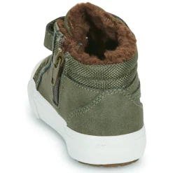 Kangaroos - Kavu III