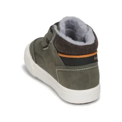 Kangaroos - KAVU PRIMO V