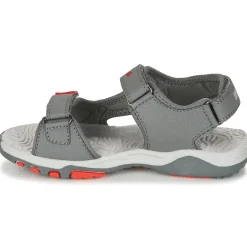 Kangaroos - K-CELTIC