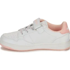 Kangaroos - K-CP Fresh EV