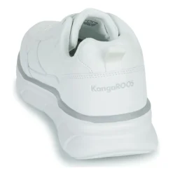 Kangaroos - K-CR Adina