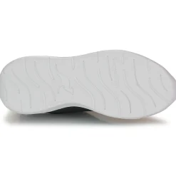 Kangaroos - KL-Win EV