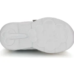 Kangaroos - K-NY Chip EV