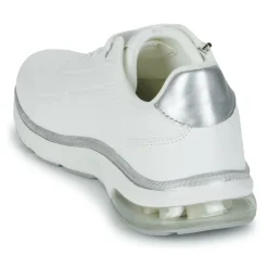 Kangaroos - K-PL Proud RV