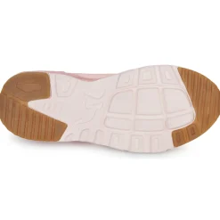 Kangaroos - KX-Bases EV