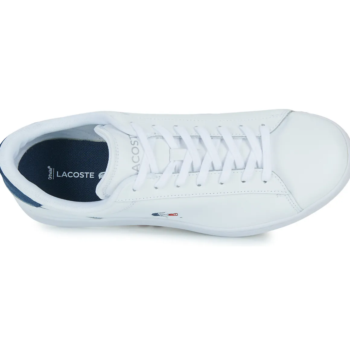 Lacoste - 48SMA0111407