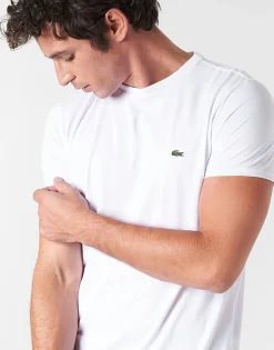 Lacoste - TH6709