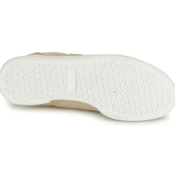 Le Temps des Cerises - FLASH