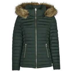 Les Petites Bombes - ALIMA