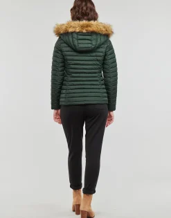 Les Petites Bombes - ALIMA