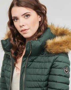 Les Petites Bombes - ALIMA