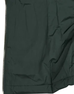 Les Petites Bombes - ALIMA