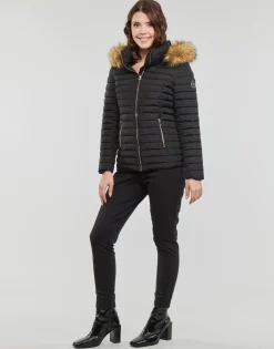 Les Petites Bombes - ALIMA