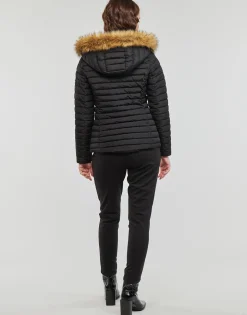 Les Petites Bombes - ALIMA