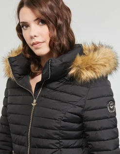 Les Petites Bombes - ALIMA