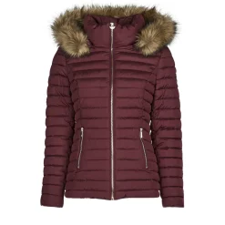 Les Petites Bombes - ALIMA